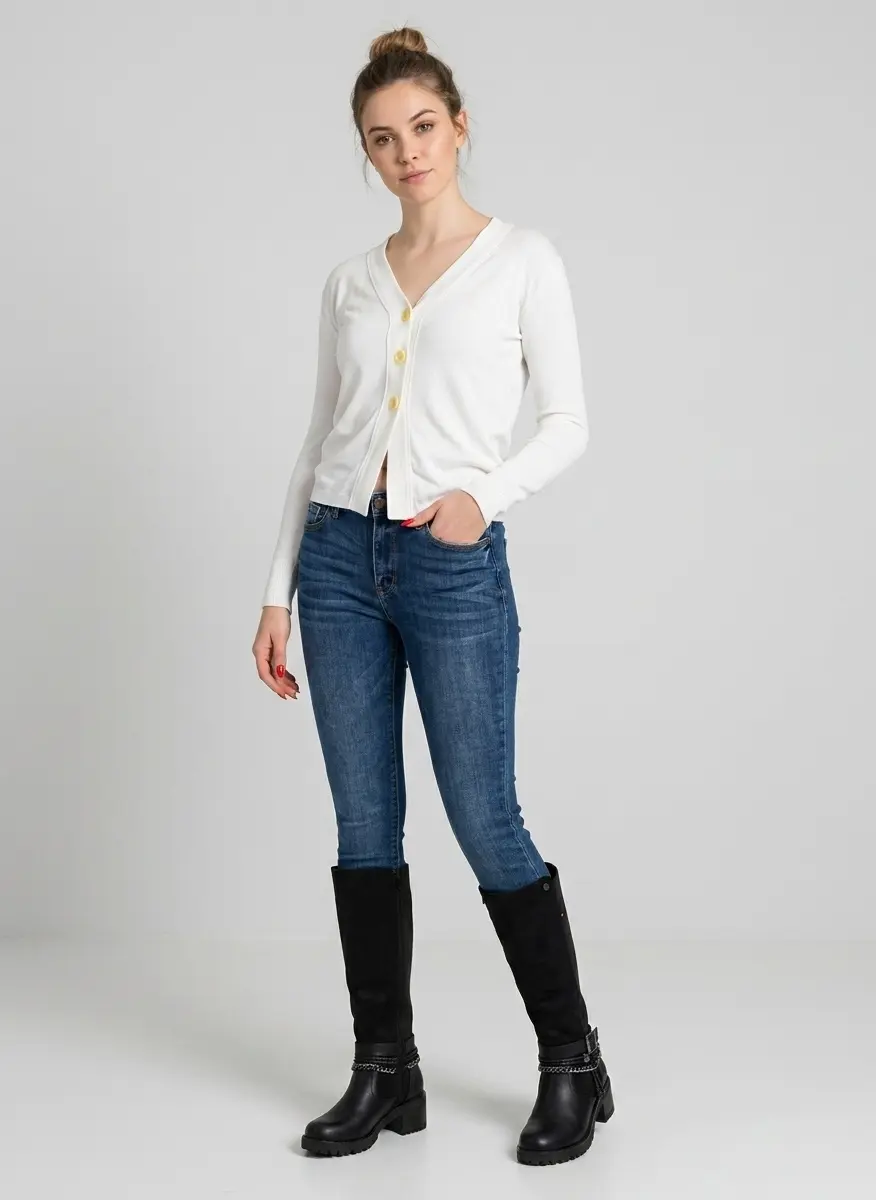 Classic Transitional Style