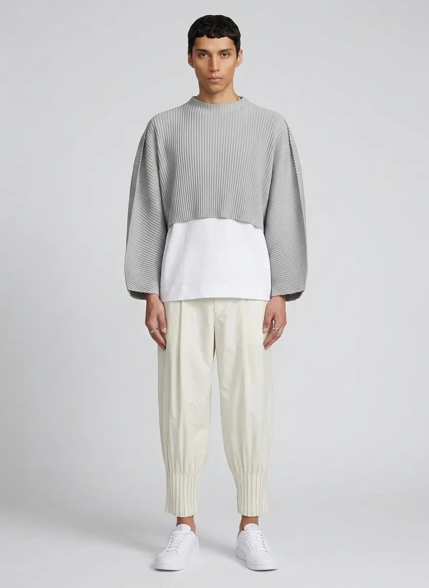 Homme Plissé Issey Miyake Gray Color Pleats 1 Top 5