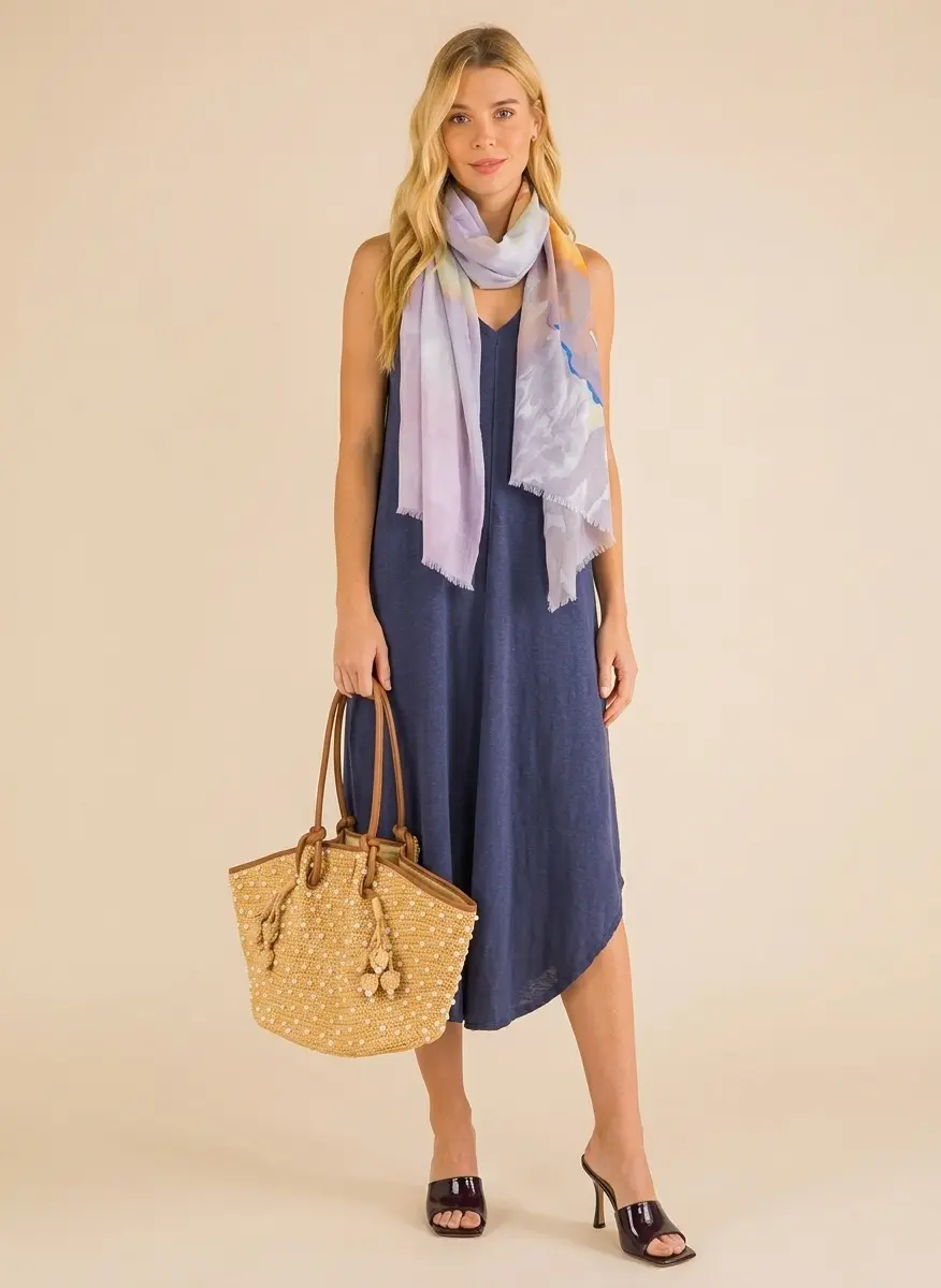 Elegant Evening Transit
